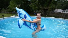 Inflatsble Dolphin Fun