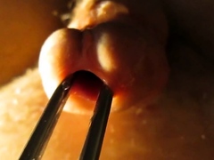 Urethral sounding and stretching with cumshot
