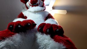 Fursuit omorashi - wetting myself in my full-body murrsuit