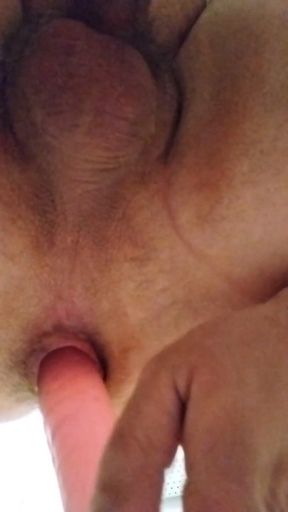 Get Dildo in My Ass