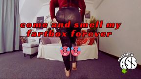 come and smell my fartbox forever