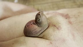 Stapling the cock and balls - ZEIDA and LUCIFERIA sadistic CBT