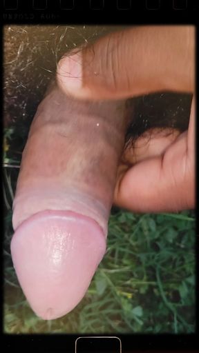 देसी लंड जो देख कर चुत मे पानी 💦 आ जा ये  मोटा लंड