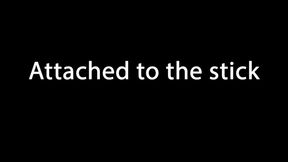 Attached To The Stick 2 - Daisy B