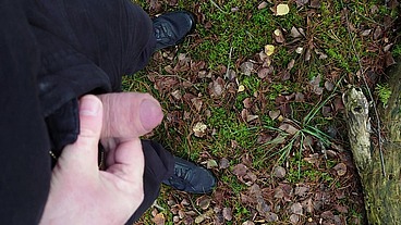 Pissen im Wald