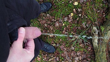 Pissen im Wald