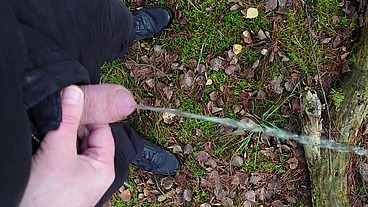 Pissen im Wald