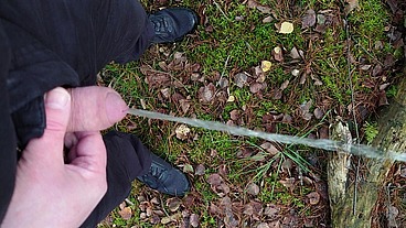 Pissen im Wald