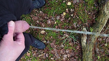Pissen im Wald
