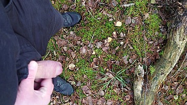 Pissen im Wald
