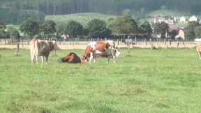 Farmer outdoor blowjob - German