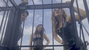 Sky-High Shame – Sissy Punishment Ritual