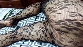 dani_leg in fishnet lacy pantyhose with sexy polished nails