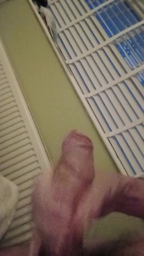 Audience participation