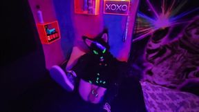 Alleycat kneads off with fresh plaything