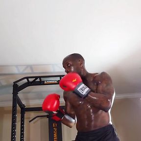 Boxing Workout When Designing a Core Training Program, the Local and Global Muscles Should Both Be Trained to Develop Proper Cor
