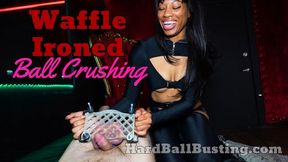 Squeezing Your Worthless Balls Flat As A Waffle - Miss Dani Synclair!