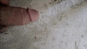 The penis with which he had sex with seven women in one night