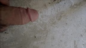 The penis with which he had sex with seven women in one night