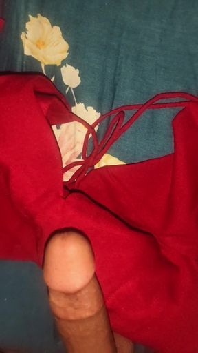 I masturbated with my sister-in-law's blouse.