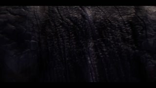 Adventures of Serenia - EP1 - Welcome to Wild Life