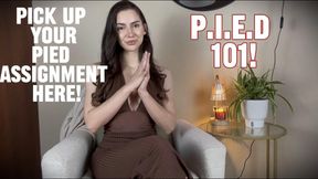 P.I.E.D Assignment 1/4