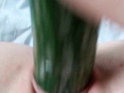 Girl masturbating with big cucumber. Lina Moore