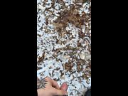 Pissing Outdoor (Spy)