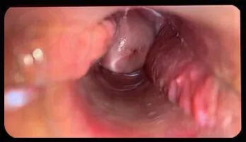 Intense Cervix Orgasm & Real Female Ecstasy HD High quality