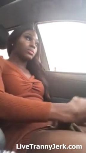 Pretty black shemale wank cum in car