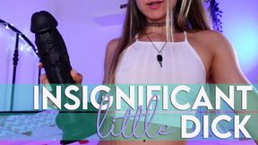 Insignificant little dick always loses to BBC