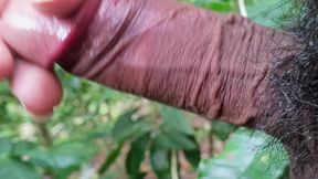 Male Pregnant Passive Swallower