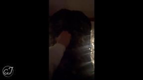 CaraxJack__ This slut in tights is sucking my cock, I had to fuck her! ????