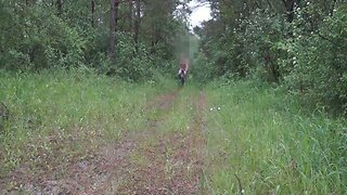 Guy is cycling naked for 4 km and then ejaculating loudly