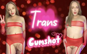 Dirty Little Tranny Bitch