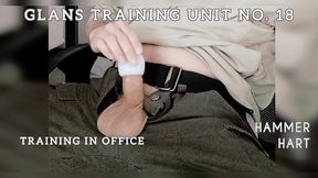 glans training unit 18 - training in office