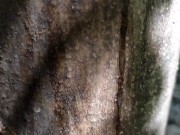 Cumshot on 'cum here' tree , showing cum close up and piss at a cruising area