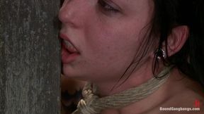 Tattooed Hottie Is Made to Submit to Five Guys