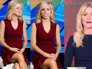 Fox News Anchor Ainsley legs