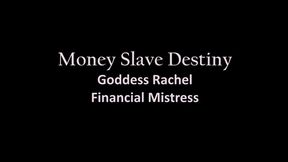 Pay Pig Money Destiny Slave