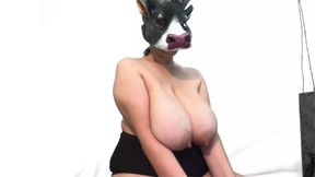Cat Rabbit Cow