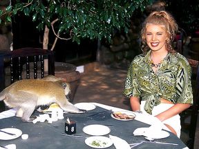 African Dream, Report