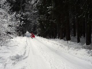 Red Hood in the snowy forest