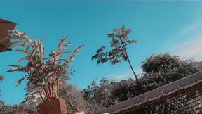 update #969 (june 19, 2021) what a beautiful day
