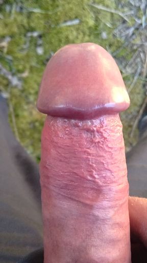 Wanking hard cock