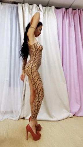 Leopard girl. Dance for the most beloved subscriber