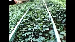 Nasty blonde girl gets intense raw anal fuck