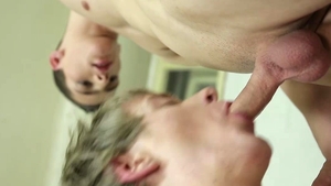 High Def Action In The Octagon