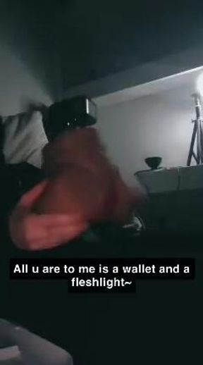 Pocket Puss