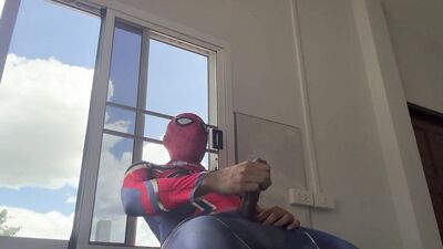 Spiderman work from home.